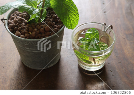 木質背景上的玻璃茶杯裡的薄荷茶 136832806