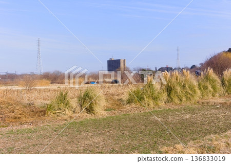 2026年2月,埼玉縣河口市芝川沿岸 2026年2月,埼玉縣河口市芝川沿岸 136833019