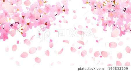 落花櫻花背景素材 落花櫻花背景素材 136833369