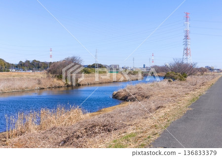 千葉縣柏市大場川,2026年2月 千葉縣柏市大場川,2026年2月 136833379