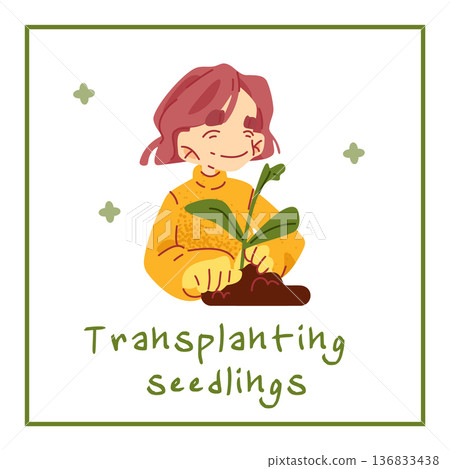 Transplanting Seedlings Gardening Illustration 136833438