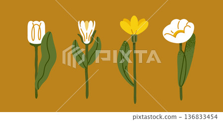 Stylized Floral Botanical Set Illustration Stylized Floral Botanical Set Illustration 136833454