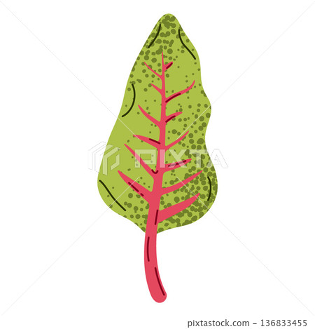 Stylized Green Leaf Illustration Stylized Green Leaf Illustration 136833455