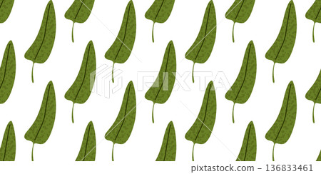 Sorrel Leaf Seamless Pattern Design Sorrel Leaf Seamless Pattern Design 136833461