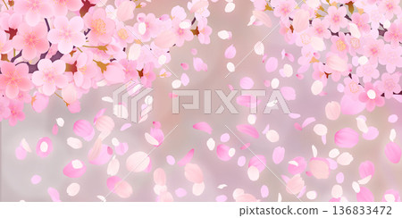 Background material of cherry blossoms with falling petals Background material of cherry blossoms with falling petals 136833472
