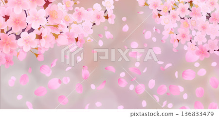 落花櫻花背景素材 落花櫻花背景素材 136833479