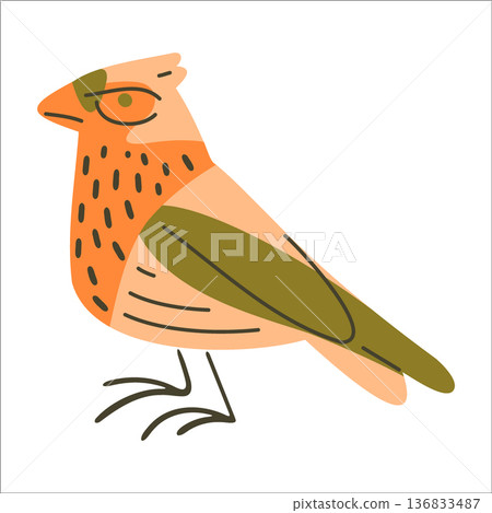 Stylized Decorative Bird Illustration 136833487