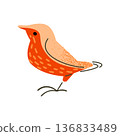 Stylized Orange Bird Illustration 136833489