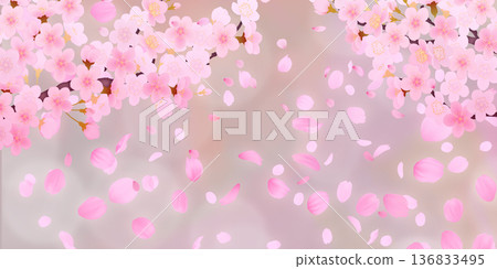 落花櫻花背景素材 落花櫻花背景素材 136833495