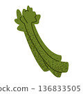 Asparagus Vegetable Illustration 136833505