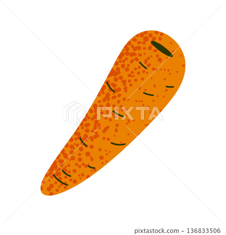 Carrot Vegetable Flat Illustration 136833506
