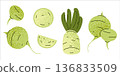 Radish Vegetable Set Illustration 136833509