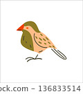 Stylized Flat Bird Illustration 136833514
