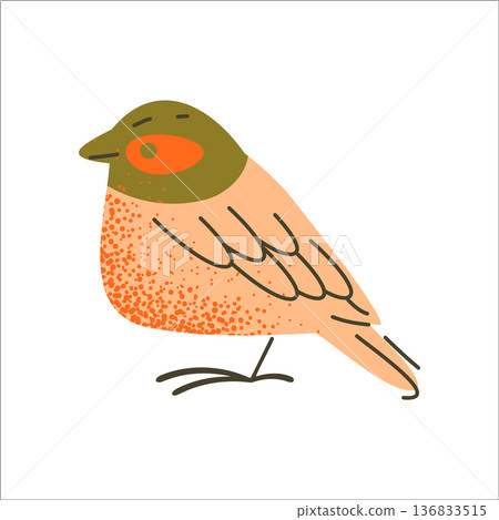 Textured Flat Bird Character 136833515