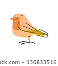 Flat Bird With Orange Chest 136833516