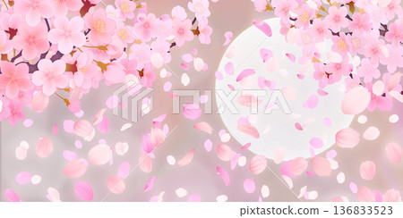 落花櫻花背景素材 136833523