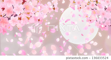 Background material of cherry blossoms with falling petals Background material of cherry blossoms with falling petals 136833524
