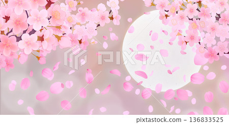 落花櫻花背景素材 136833525
