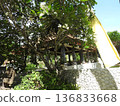 overseas trip  136833668