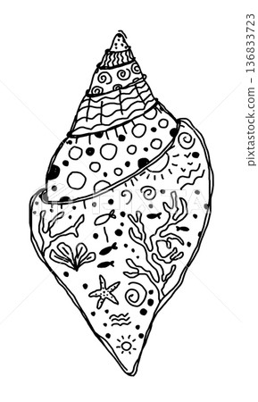 Hand drawn illustration of seashell with underwater elements 136833723