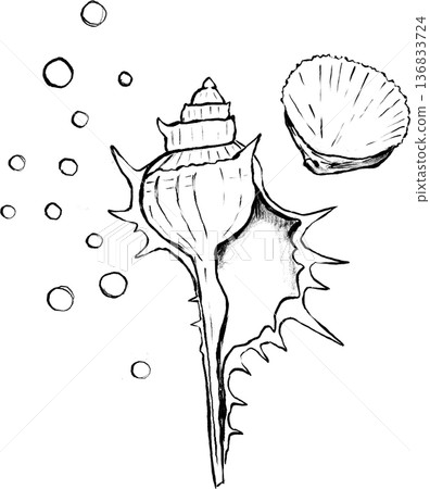 Hand drawn seashell and underwater elements illustration 136833724