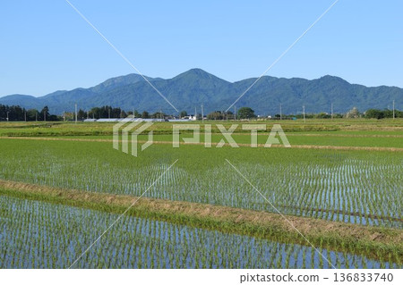 Rural scenery Shonai, Yamagata Prefecture, one of Japan's leading rice fields Rural scenery Shonai, Yamagata Prefecture, one of Japan's leading rice fields 136833740