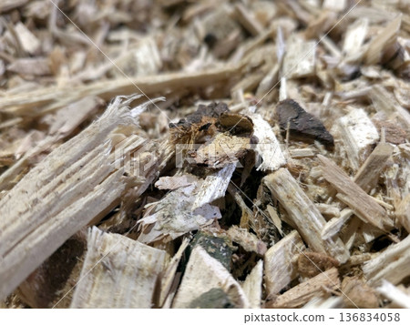 Close View of Wood Chip Pile Collected From Tree Processing in a Woodland Area 136834058