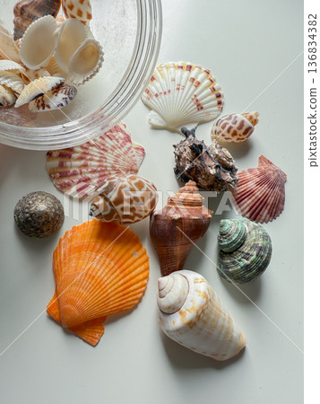 Different colorful sea shells on white table close up 136834382