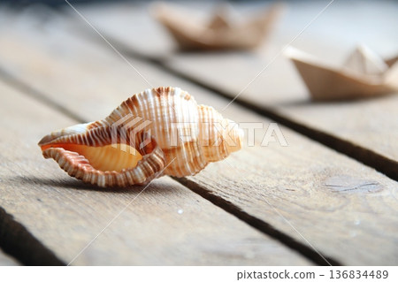 Seashell on a wooden background. Summer time concept. 136834489