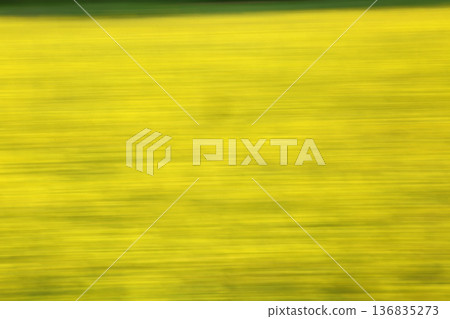 Abstract Yellow Flower Field Motion Blur Background Abstract Yellow Flower Field Motion Blur Background 136835273