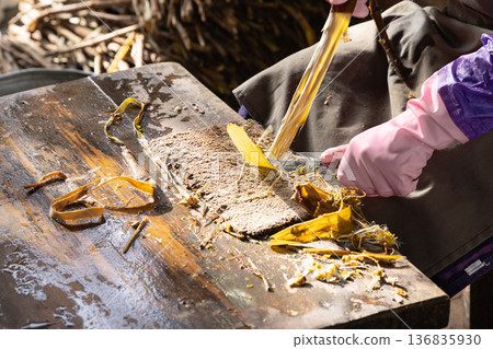 Processing mulberry bark at Samarkand Paper Workshop Processing mulberry bark at Samarkand Paper Workshop 136835930
