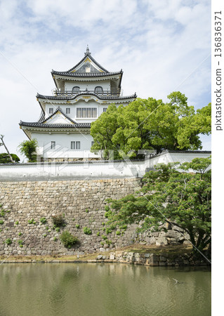 岸和田城的天守閣和石牆 岸和田城的天守閣和石牆 136836371