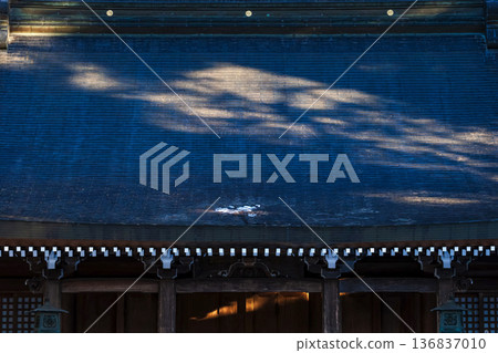 260221 飛驒一宮水無神社 g020 260221 飛驒一宮水無神社 g020 136837010