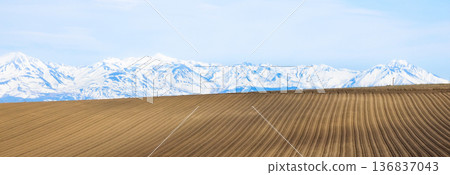A beautiful hilltop landscape with fields in Biei, Hokkaido, on a mild spring day A beautiful hilltop landscape with fields in Biei, Hokkaido, on a mild spring day 136837043