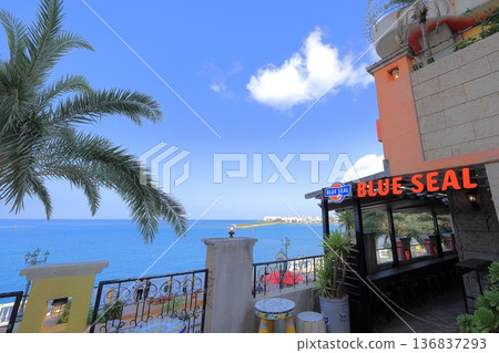 從沖繩藍印章看到的景色 136837293