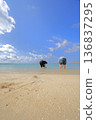 Okinawa sunset beach scenery 136837295