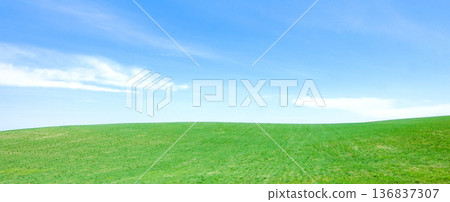 Early summer scenery of Biei, Hokkaido, with its refreshing blue sky and gentle hills 136837307