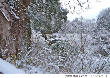 那須烏山市龍門瀑布,二月下雪 那須烏山市龍門瀑布,二月下雪 136837491