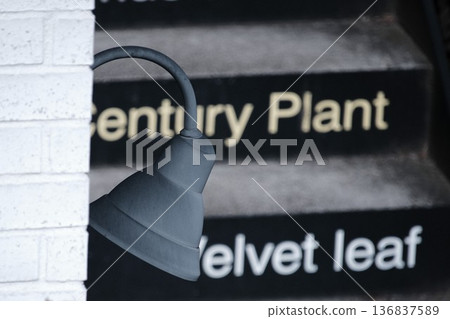 戶外樓梯階梯上寫著一系列植物名稱。現代外觀設計 戶外樓梯階梯上寫著一系列植物名稱。現代外觀設計 136837589