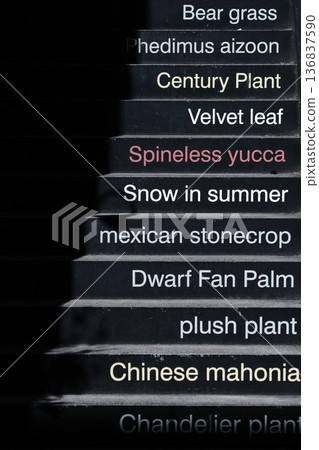戶外樓梯階梯上寫著一系列植物名稱。現代外觀設計 136837590