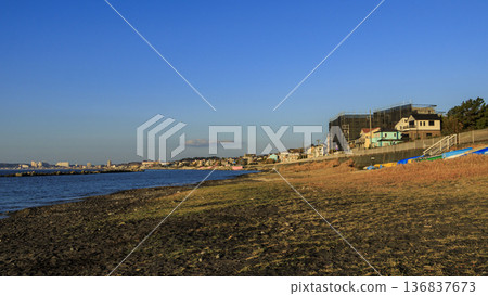 冬季的諾比海岸水仙花路 冬季的諾比海岸水仙花路 136837673