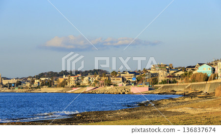 Nobi Coast Daffodil Road in Winter Nobi Coast Daffodil Road in Winter 136837674