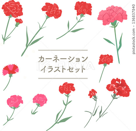 康乃馨花卉插畫套裝(母親節/春季素材) 康乃馨花卉插畫套裝(母親節/春季素材) 136837840