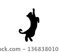 Silhouette of a cat curious about something above 136838010