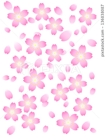 櫻花和花瓣背景 櫻花和花瓣背景 136838087