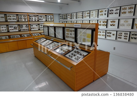 Bone Museum Bone Museum 136838480