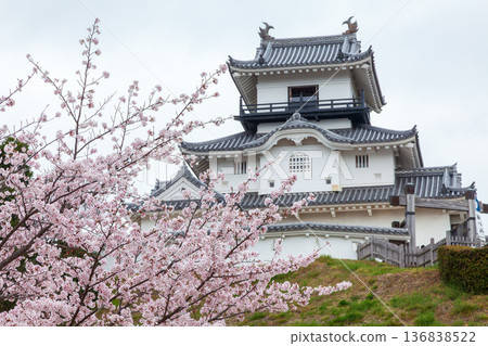 Kakegawa Castle in spring in Kakegawa City, Shizuoka Prefecture 136838522