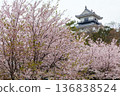 Kakegawa Castle in spring in Kakegawa City, Shizuoka Prefecture Kakegawa Castle in spring in Kakegawa City, Shizuoka Prefecture 136838524