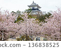 Kakegawa Castle in spring in Kakegawa City, Shizuoka Prefecture Kakegawa Castle in spring in Kakegawa City, Shizuoka Prefecture 136838525