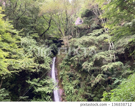 A quiet valley landscape in a lush forest with a small waterfall cascading down the rock face and a bridge over it. A quiet valley landscape in a lush forest with a small waterfall cascading down the rock face and a bridge over it. 136838712